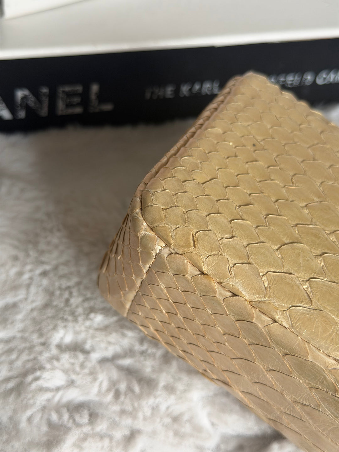 CHANEL series 20 Iridescent Ivory Llizard Exotic skin Extra Mini Rectangular Flap Bag LGHW