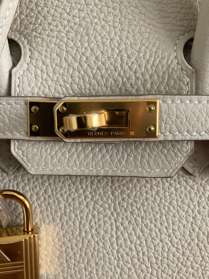 Hermes Birkin 25 Craie Togo Leather with Gold Hardware B Stamp 2024