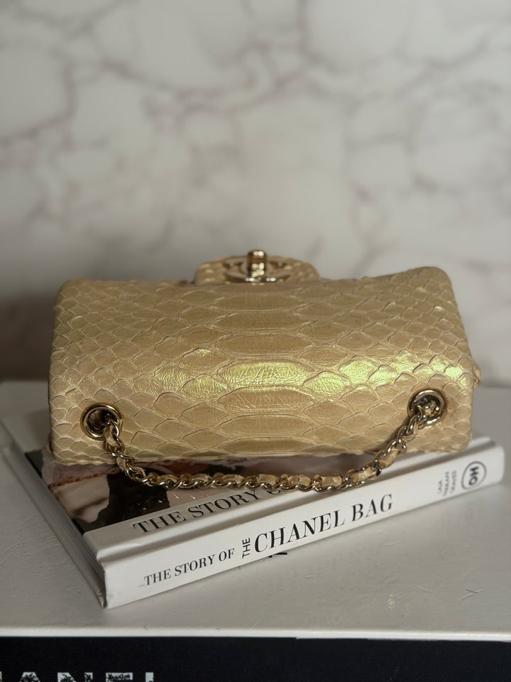 CHANEL series 20 Iridescent Ivory Llizard Exotic skin Extra Mini Rectangular Flap Bag LGHW