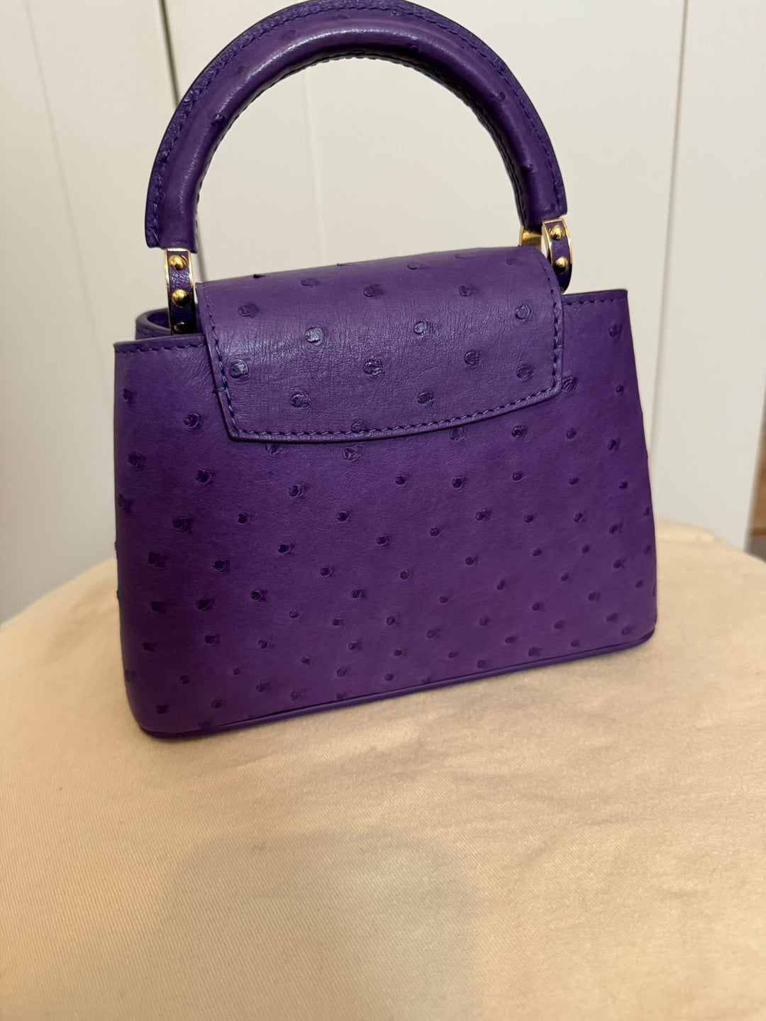 LOUIS VUITTON LV Mini Capucines LGHW Amethyst Ostrich Leather with detachable strap