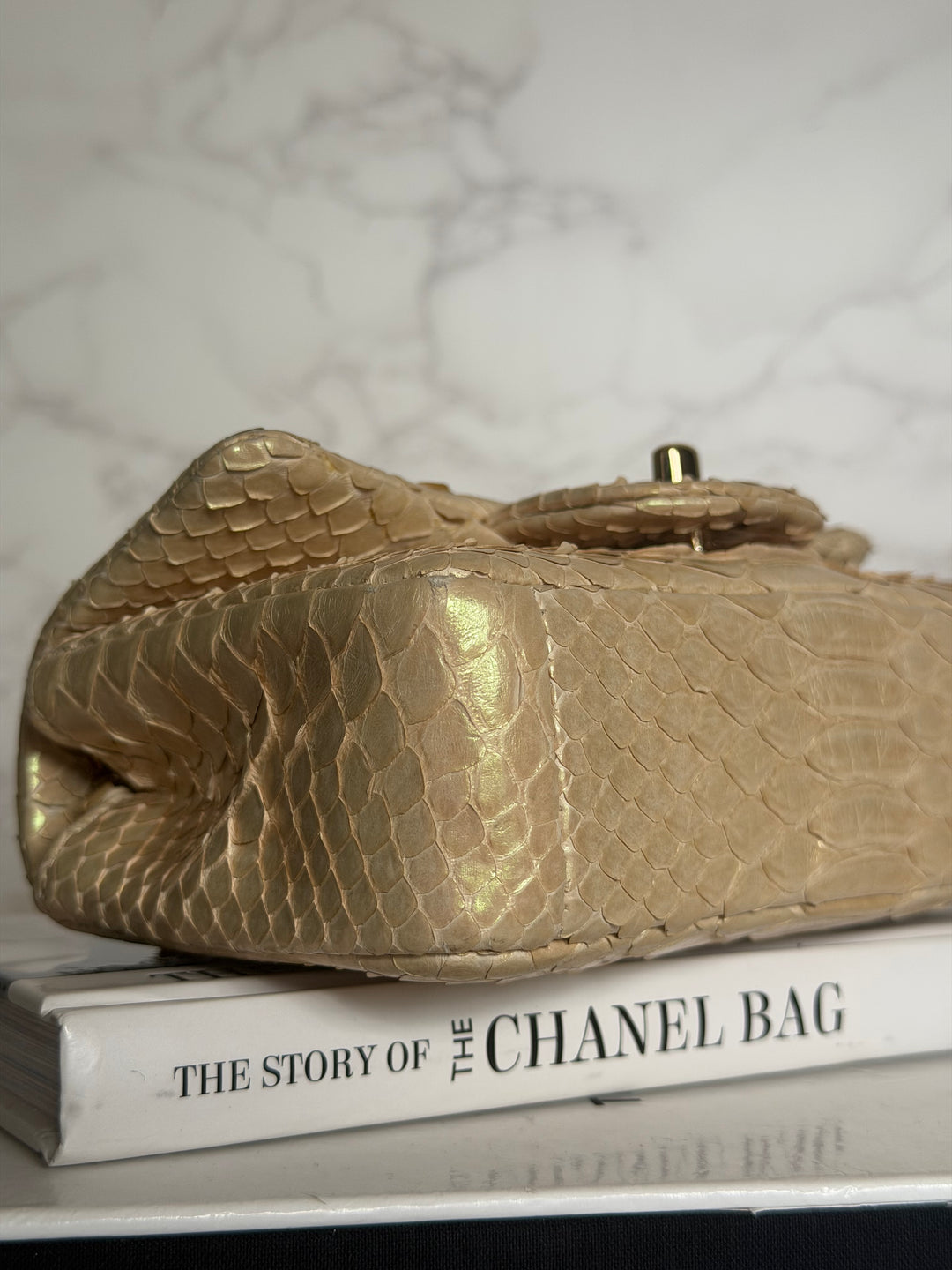 CHANEL series 20 Iridescent Ivory Llizard Exotic skin Extra Mini Rectangular Flap Bag LGHW