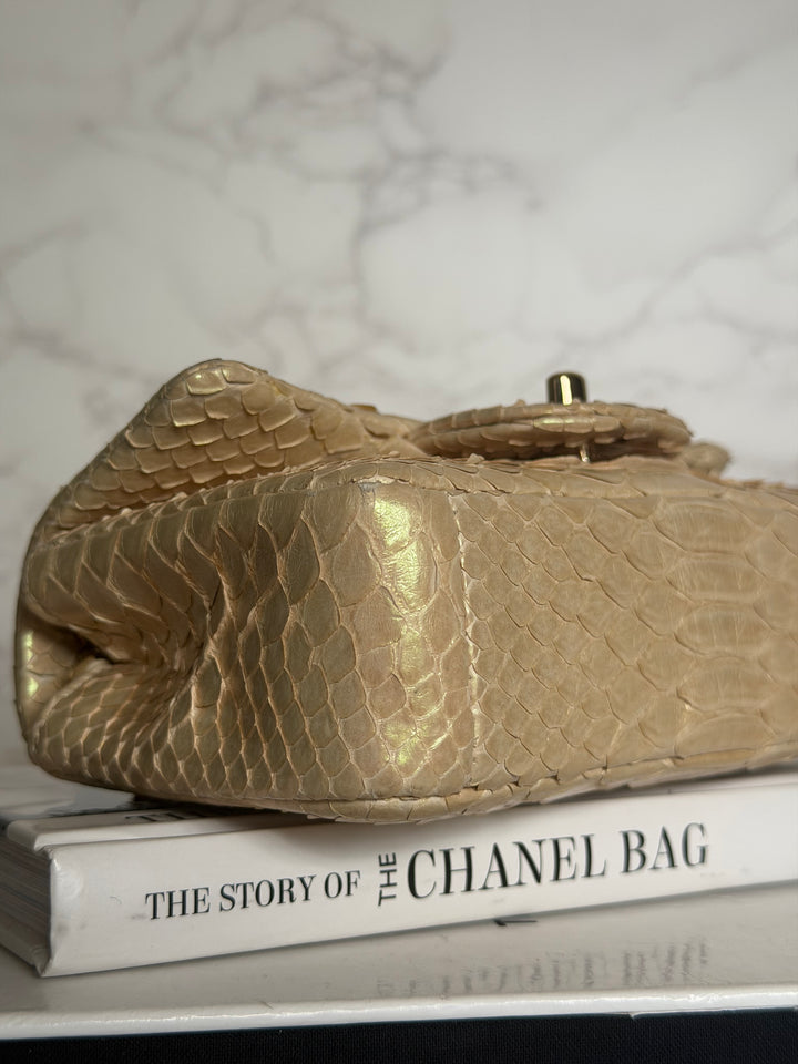 CHANEL series 20 Iridescent Ivory Llizard Exotic skin Extra Mini Rectangular Flap Bag LGHW