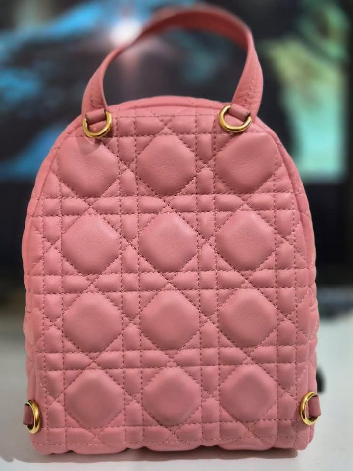 Dior Pink Lambskin GHW Backpack