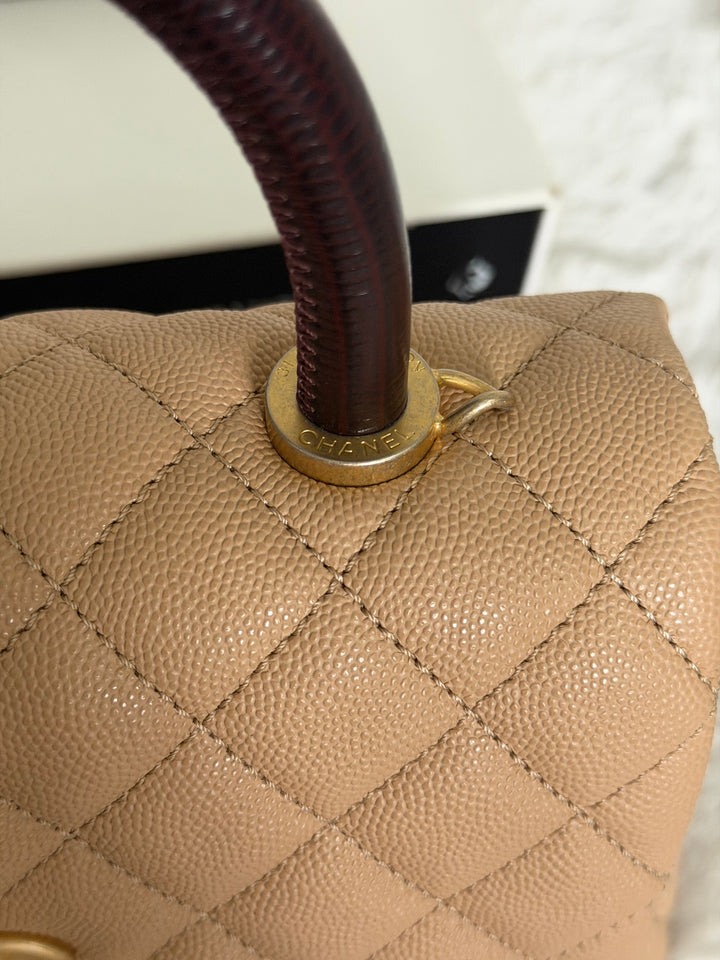 CHANEL series 29 Beige Caviar Aged GHW Deep burgundy Lizard Handle Coco Handle size Small 2019/2020