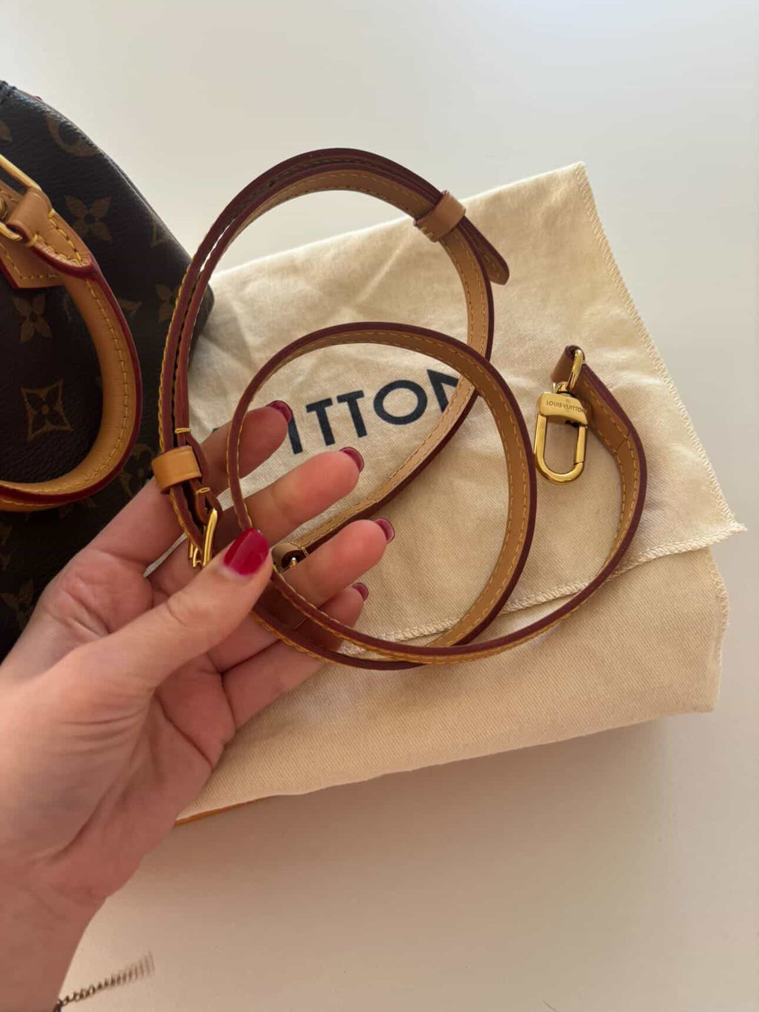 LOUIS VUITTON Nano Speedy Monogram Canvas