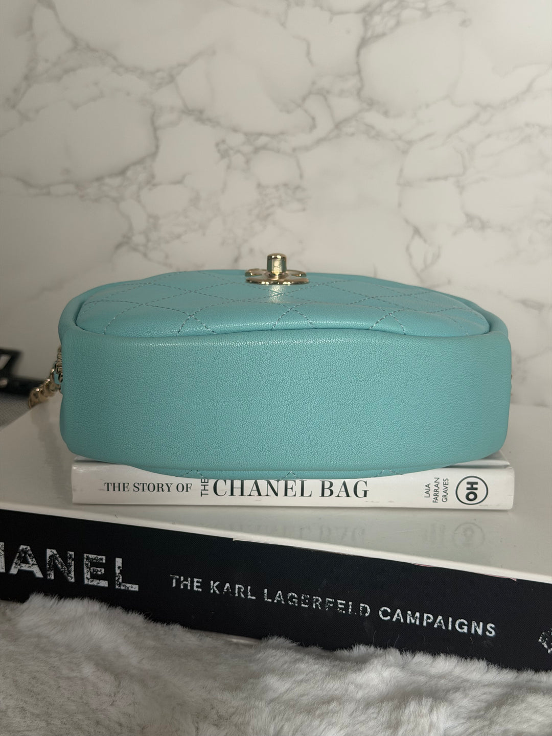 CHANEL series 26 Tiffany Blue calfskin LGHW Day Trip Camera case bag 7.5 inches 2019