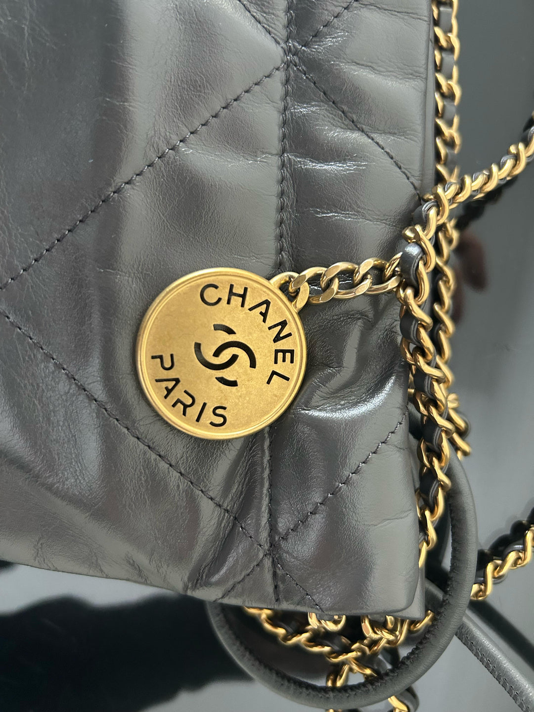 Chanel 22 size Mini in Grey 2022 GHW Hobo bag