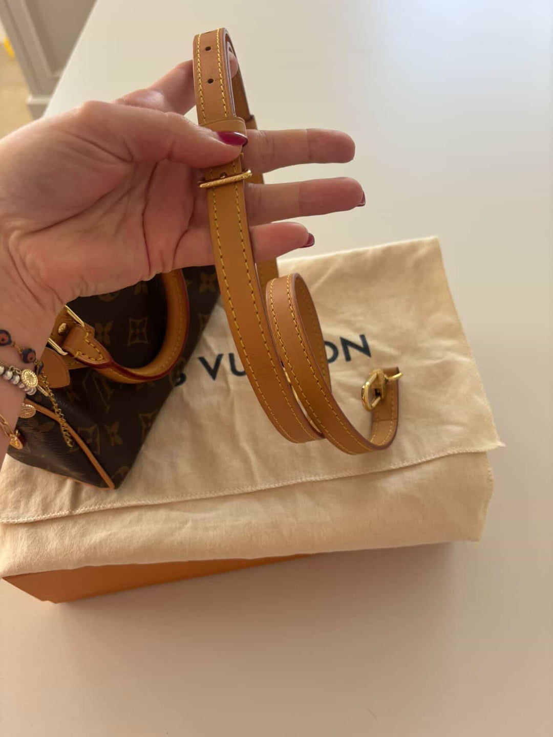 LOUIS VUITTON Nano Speedy Monogram Canvas