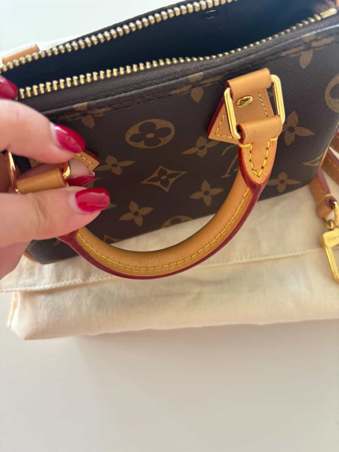 LOUIS VUITTON Nano Speedy Monogram Canvas