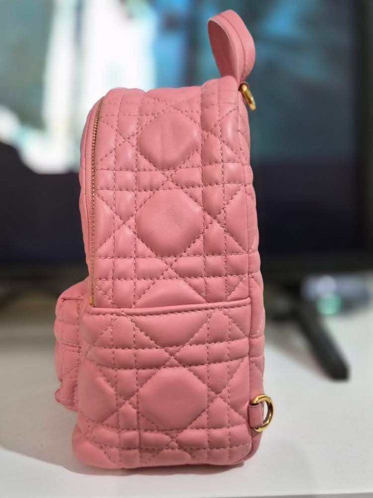 Dior Pink Lambskin GHW Backpack
