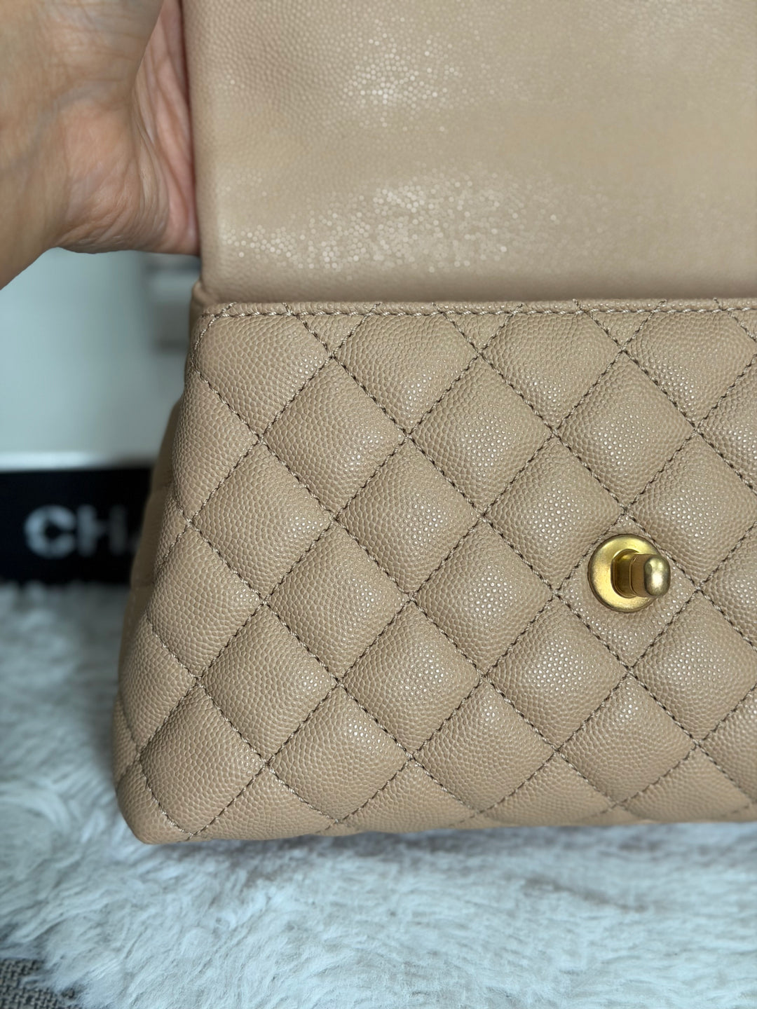 CHANEL series 29 Beige Caviar Aged GHW Deep burgundy Lizard Handle Coco Handle size Small 2019/2020