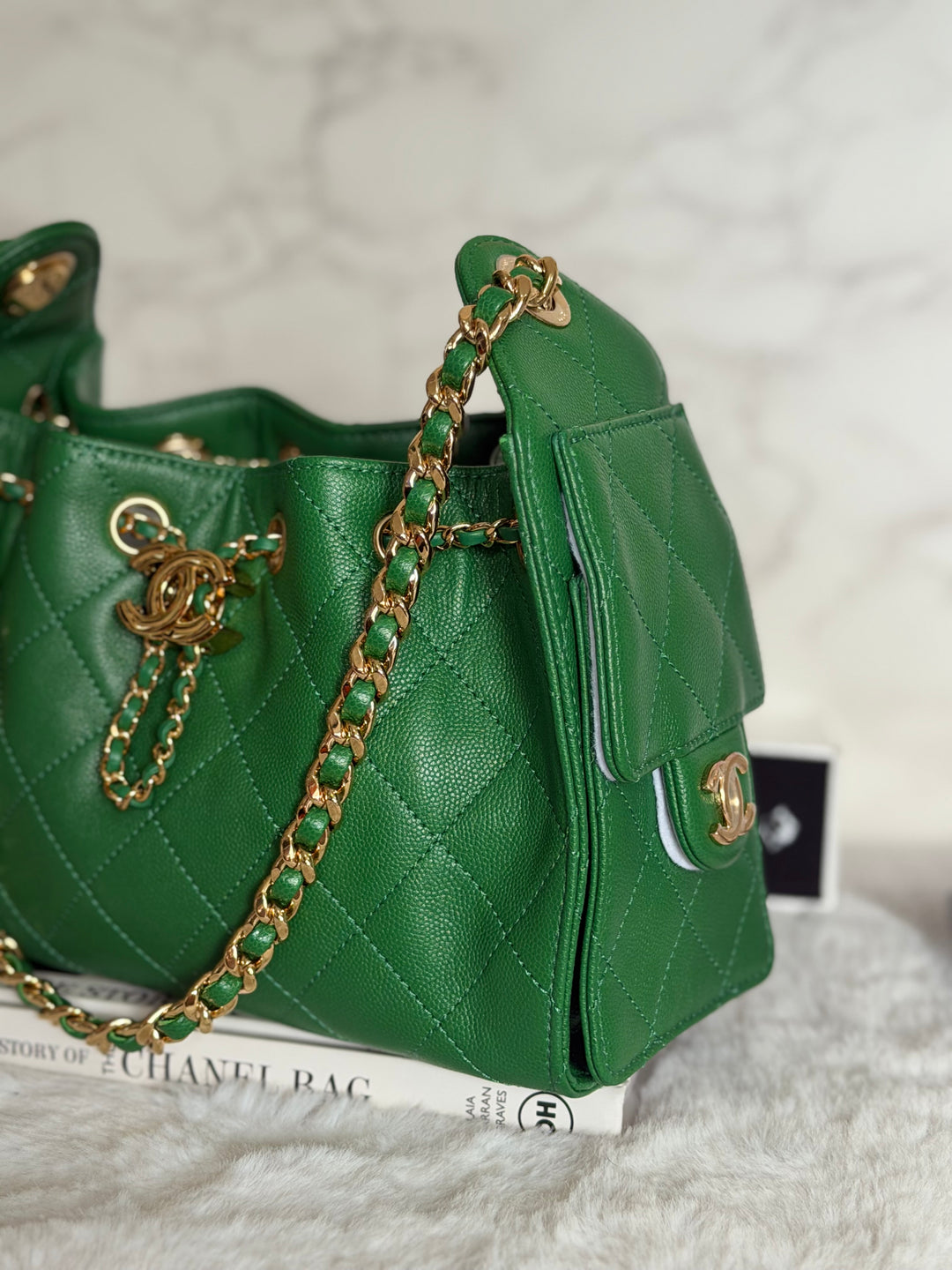 CHANEL Métiers d’art 2026 26A Green Caviar Shiny GHW MINI 25 Hobo Bag