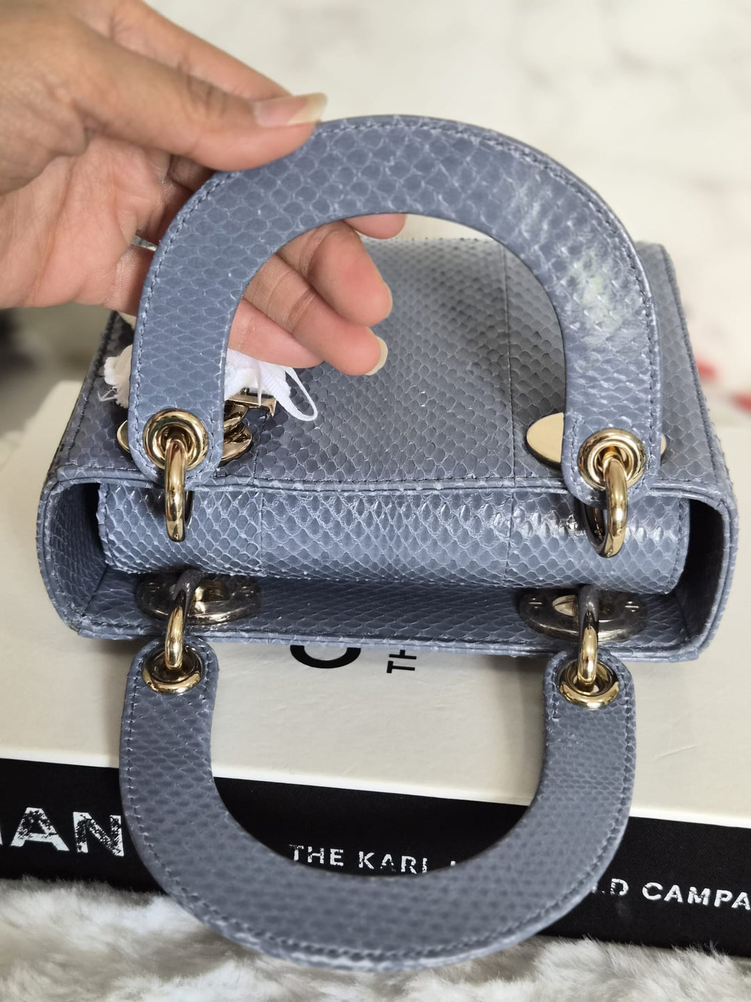 DIOR Lady Dior MINI in Blue Grey Python Leather LGHW 2020