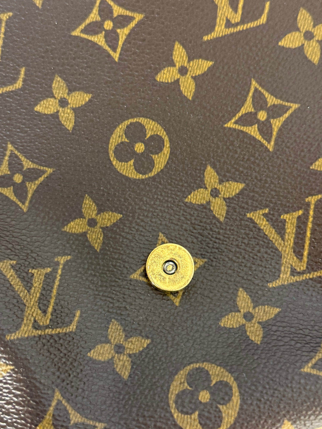 LOUIS VUITTON LV Salsa Monogram Canvas Bag