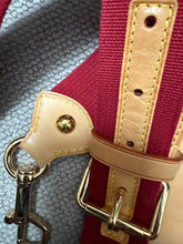 Load image into Gallery viewer, LOUIS VUITTON LV Denim Cabas

