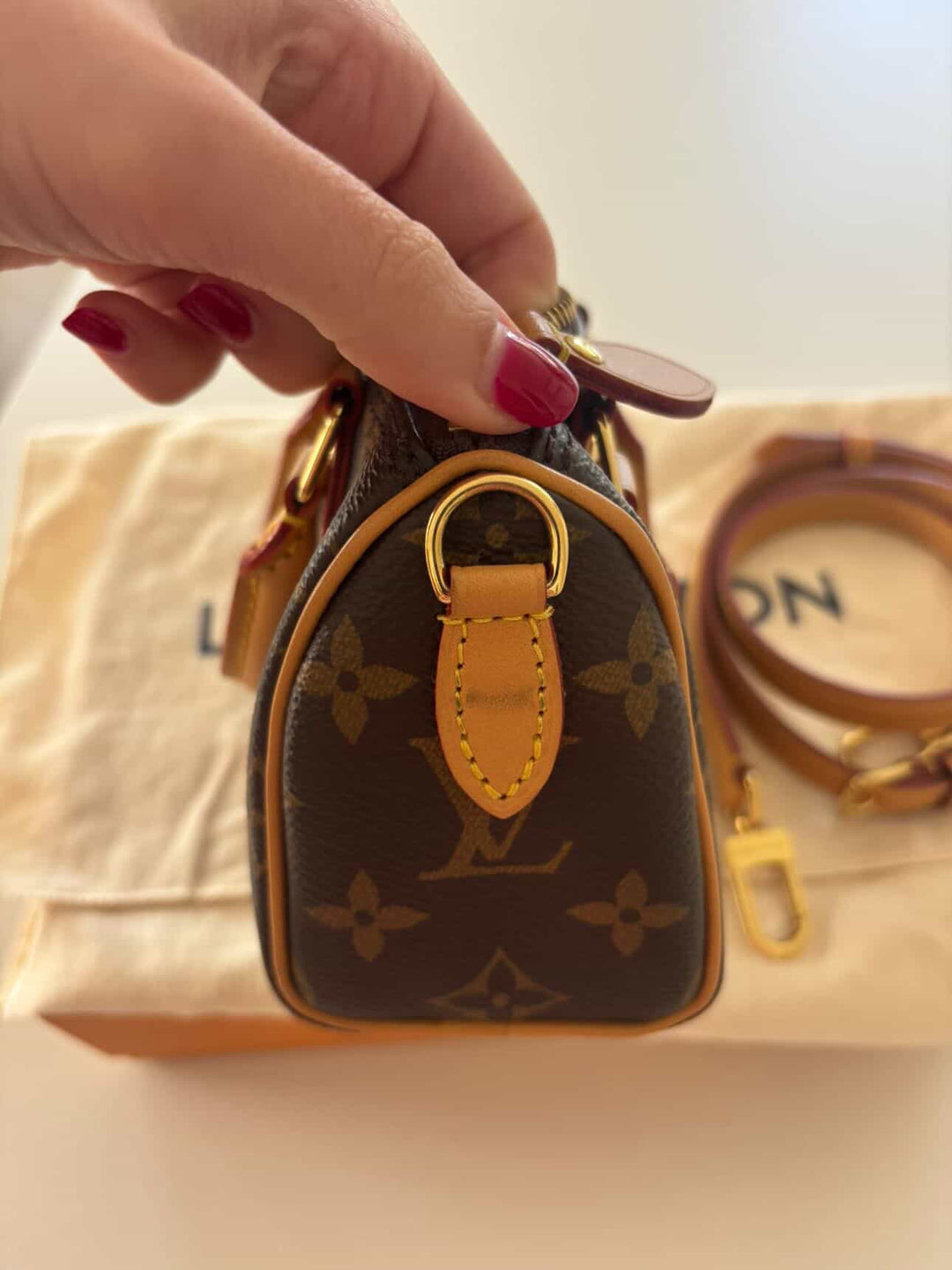 LOUIS VUITTON Nano Speedy Monogram Canvas