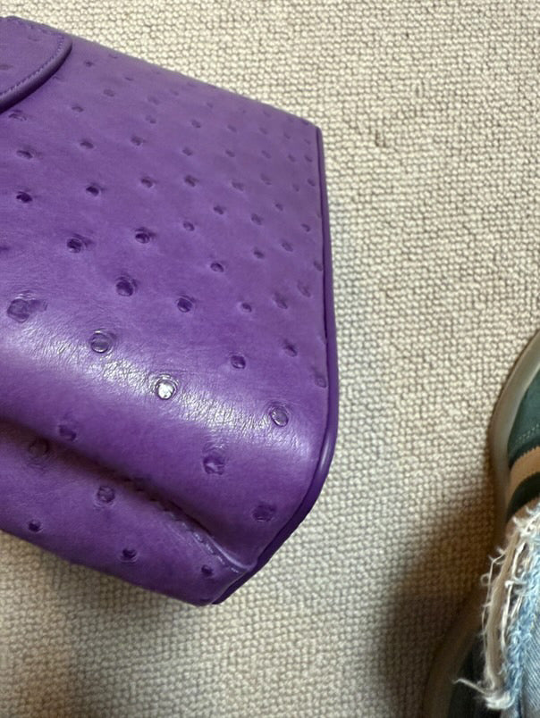 LOUIS VUITTON LV Mini Capucines LGHW Amethyst Ostrich Leather with detachable strap