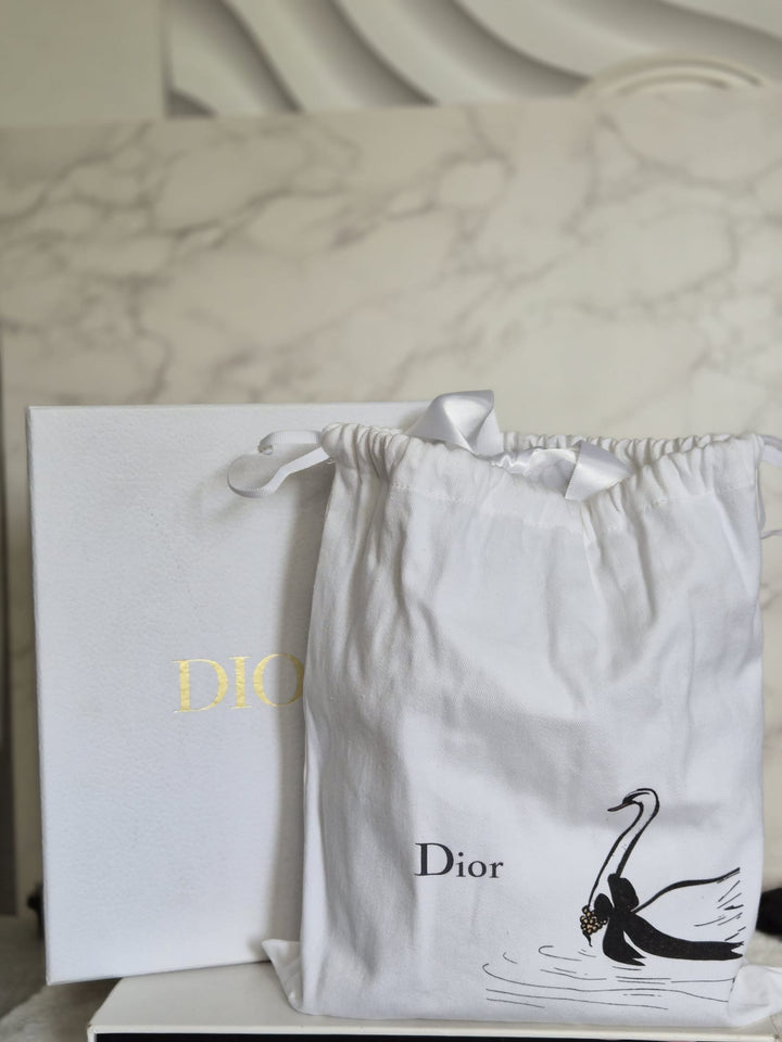 DIOR Lady Dior MINI in Blue Grey Python Leather LGHW 2020