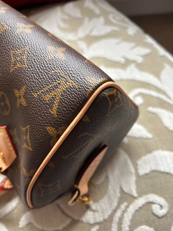 LOUIS VUITTON Speedy 20 with Guitar Strap