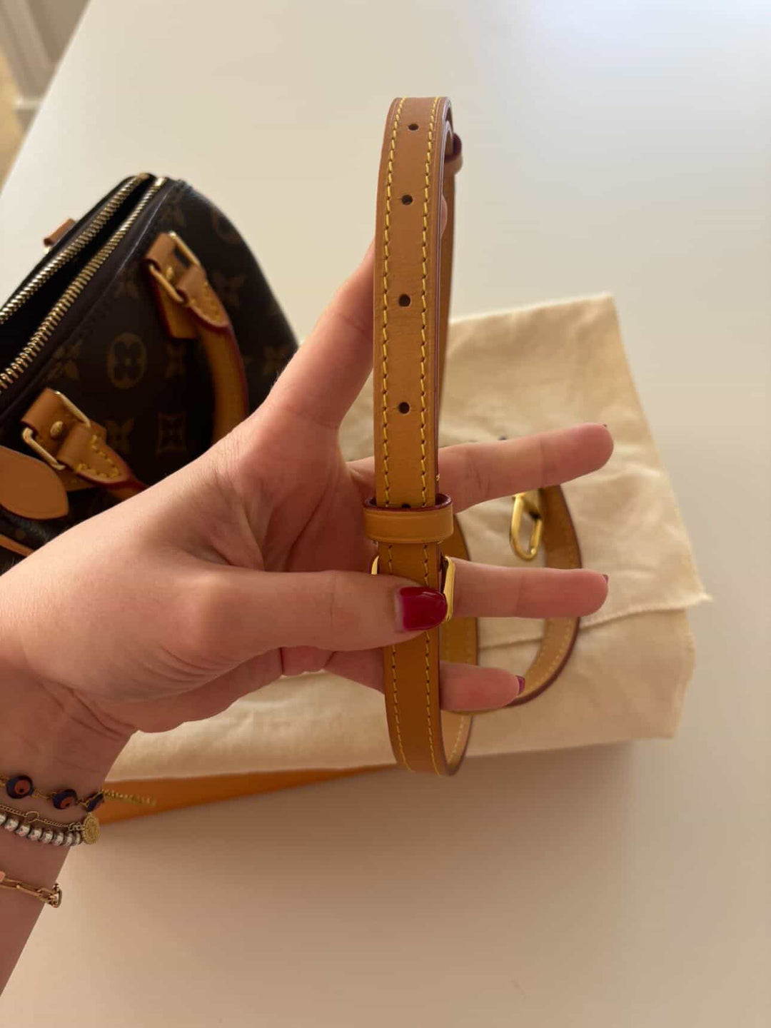 LOUIS VUITTON Nano Speedy Monogram Canvas