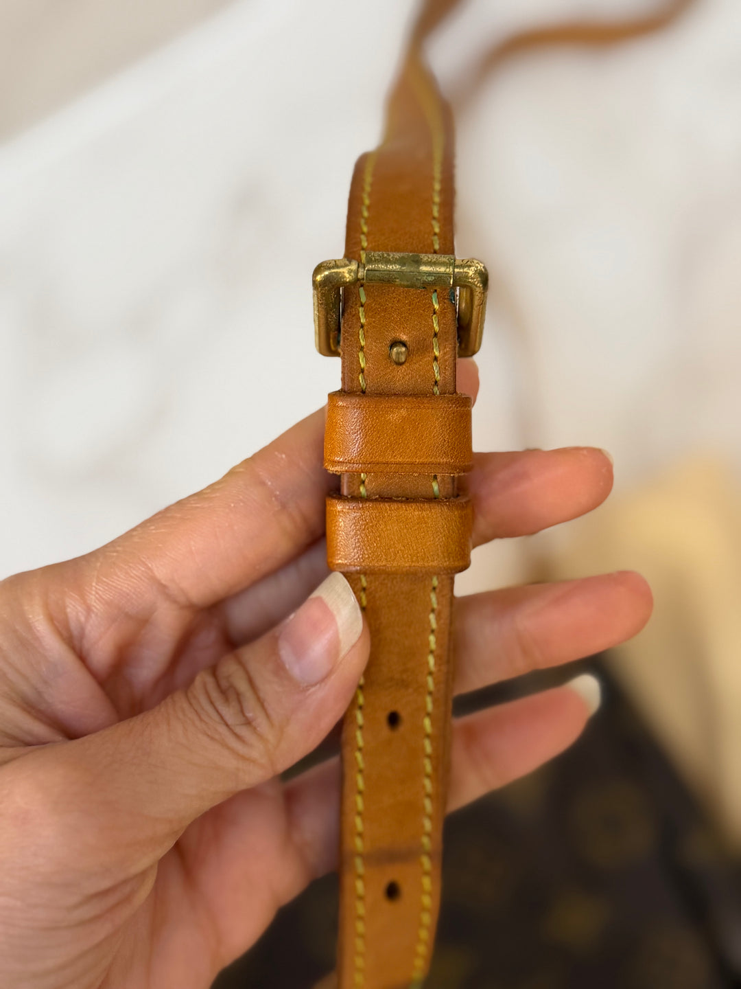 LOUIS VUITTON LV Salsa Monogram Canvas Bag