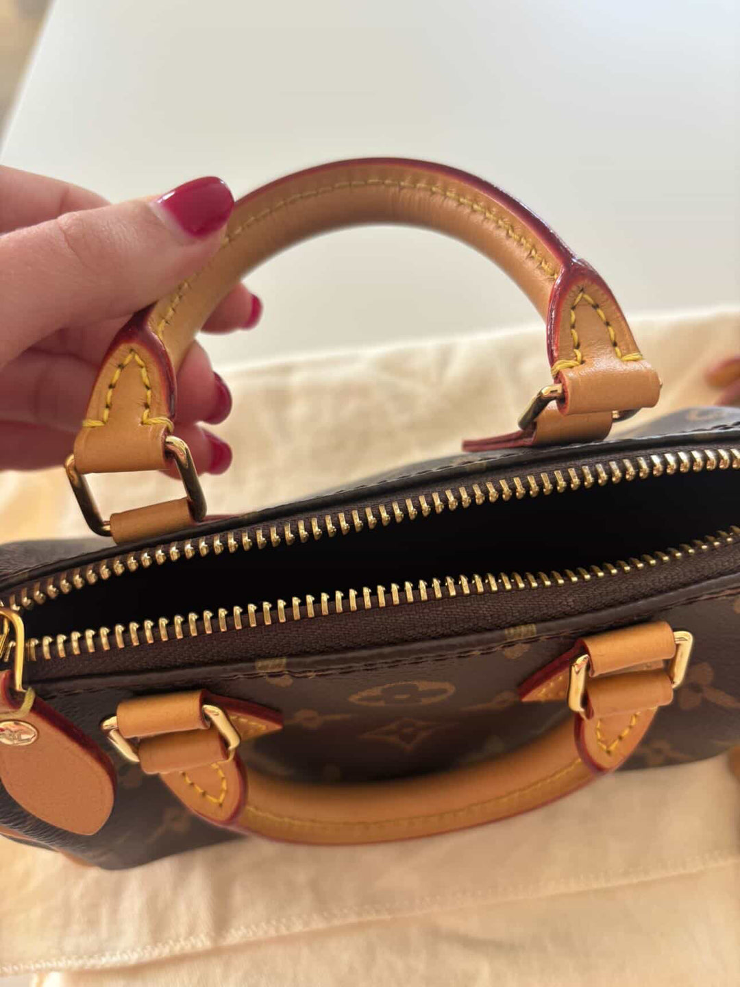 LOUIS VUITTON Nano Speedy Monogram Canvas