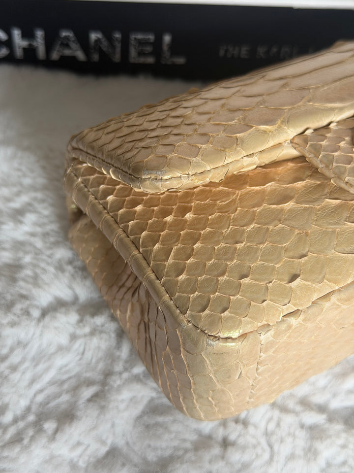 CHANEL series 20 Iridescent Ivory Llizard Exotic skin Extra Mini Rectangular Flap Bag LGHW