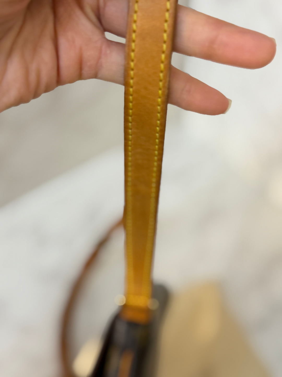 LOUIS VUITTON LV Salsa Monogram Canvas Bag