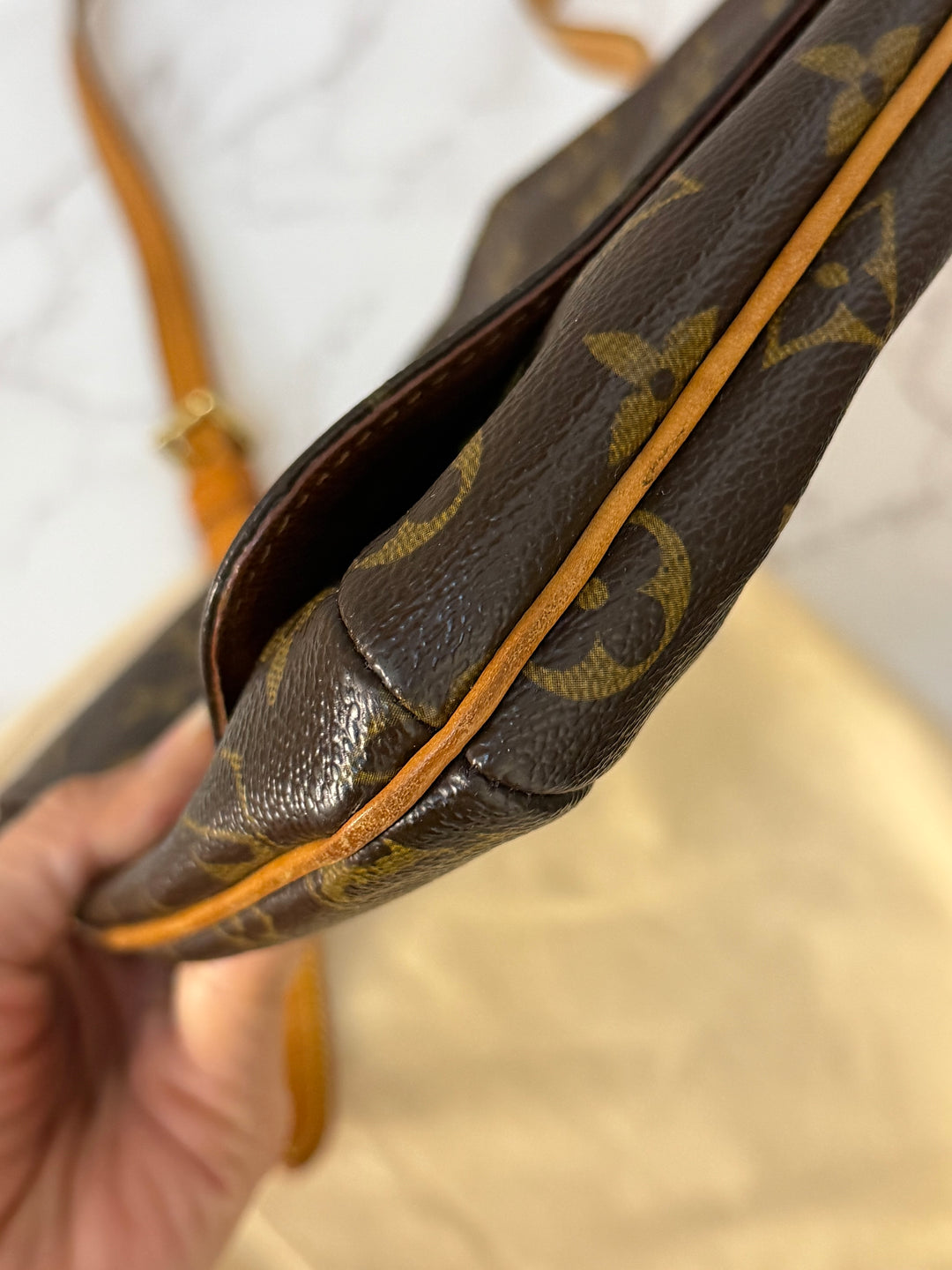LOUIS VUITTON LV Salsa Monogram Canvas Bag
