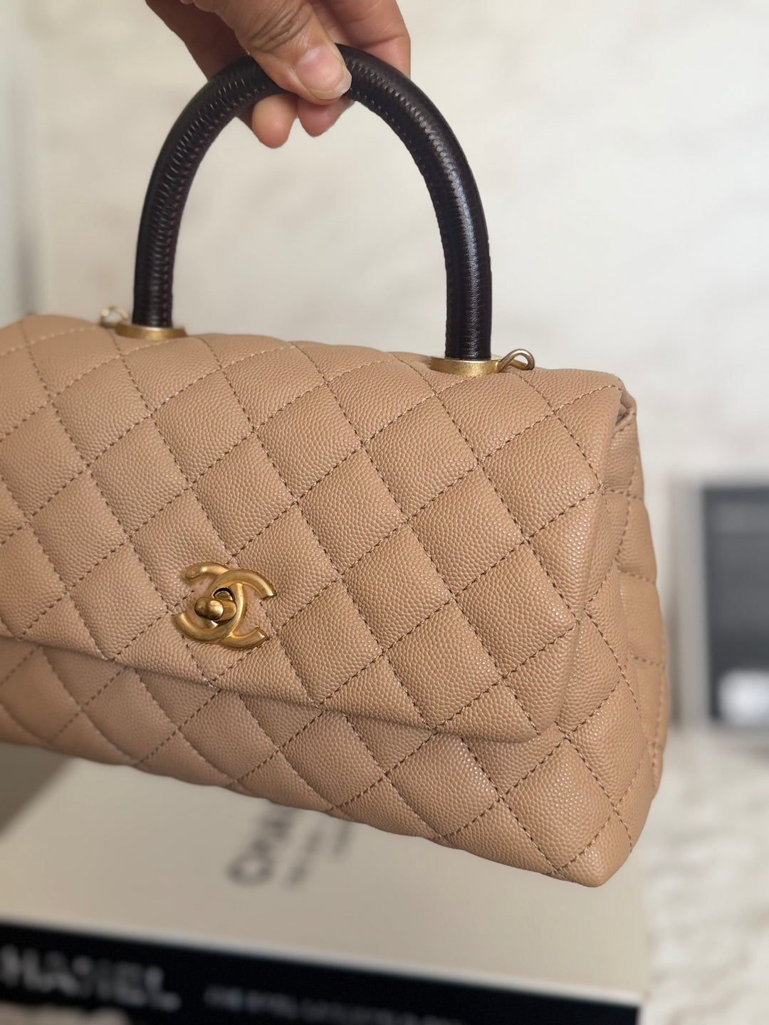 CHANEL series 29 Beige Caviar Aged GHW Deep burgundy Lizard Handle Coco Handle size Small 2019/2020