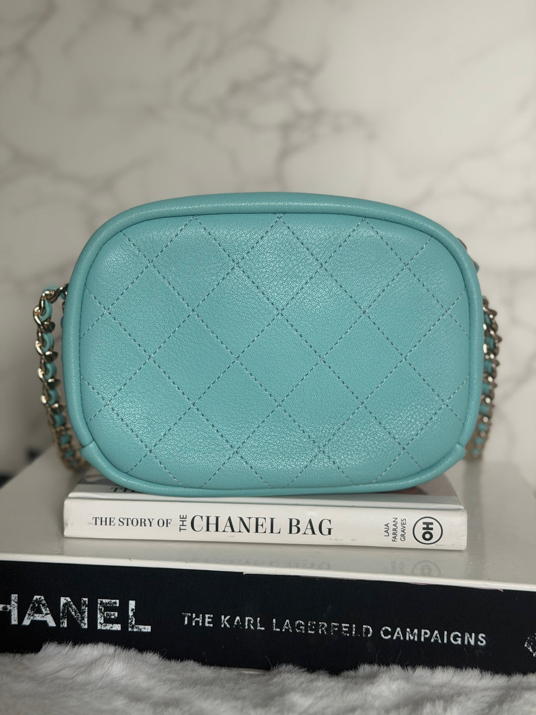 CHANEL series 26 Tiffany Blue calfskin LGHW Day Trip Camera case bag 7.5 inches 2019