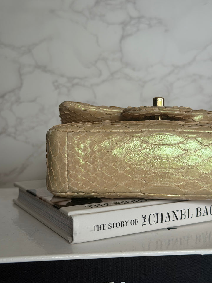 CHANEL series 20 Iridescent Ivory Llizard Exotic skin Extra Mini Rectangular Flap Bag LGHW