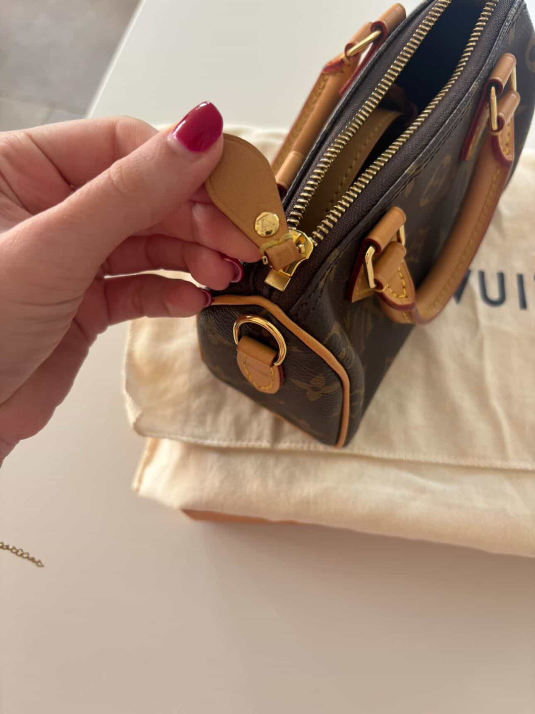 LOUIS VUITTON Nano Speedy Monogram Canvas