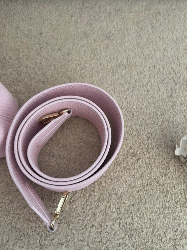 LOUIS VUITTON LV Capucines Mini in Pink LGHW 2020