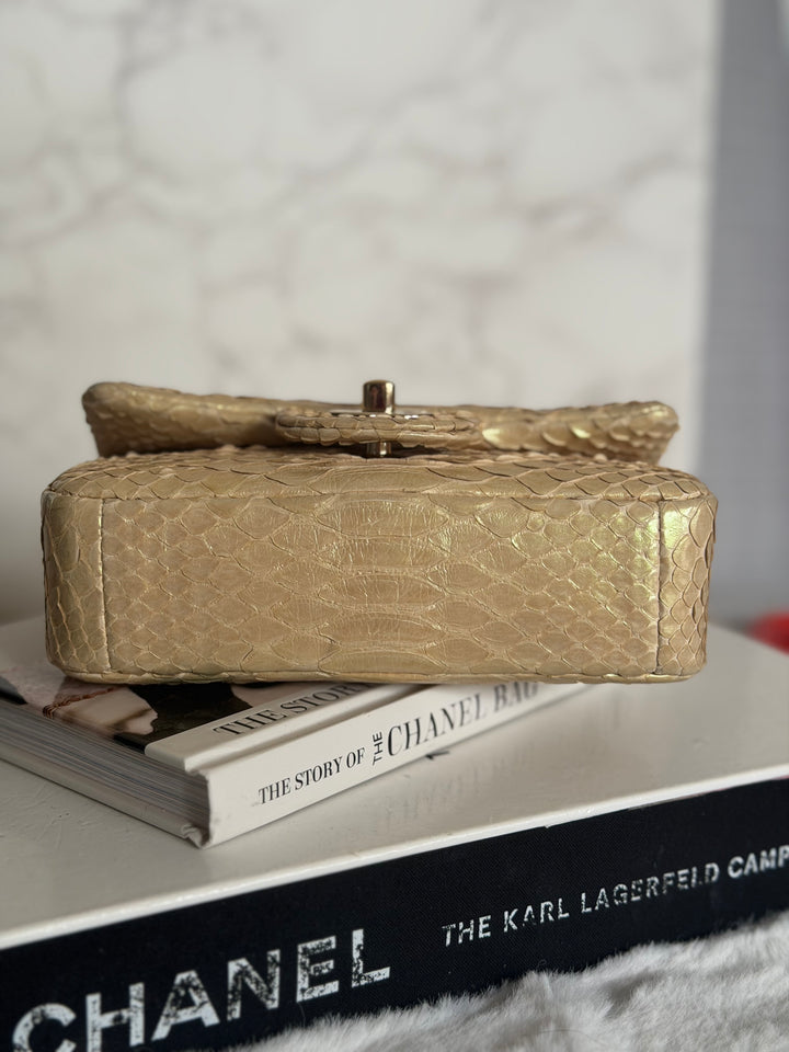 CHANEL series 20 Iridescent Ivory Llizard Exotic skin Extra Mini Rectangular Flap Bag LGHW