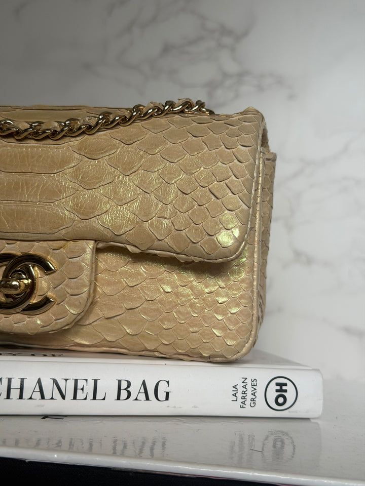 CHANEL series 20 Iridescent Ivory Llizard Exotic skin Extra Mini Rectangular Flap Bag LGHW