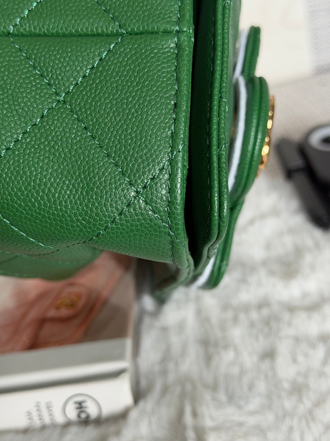 CHANEL Métiers d’art 2026 26A Green Caviar Shiny GHW MINI 25 Hobo Bag