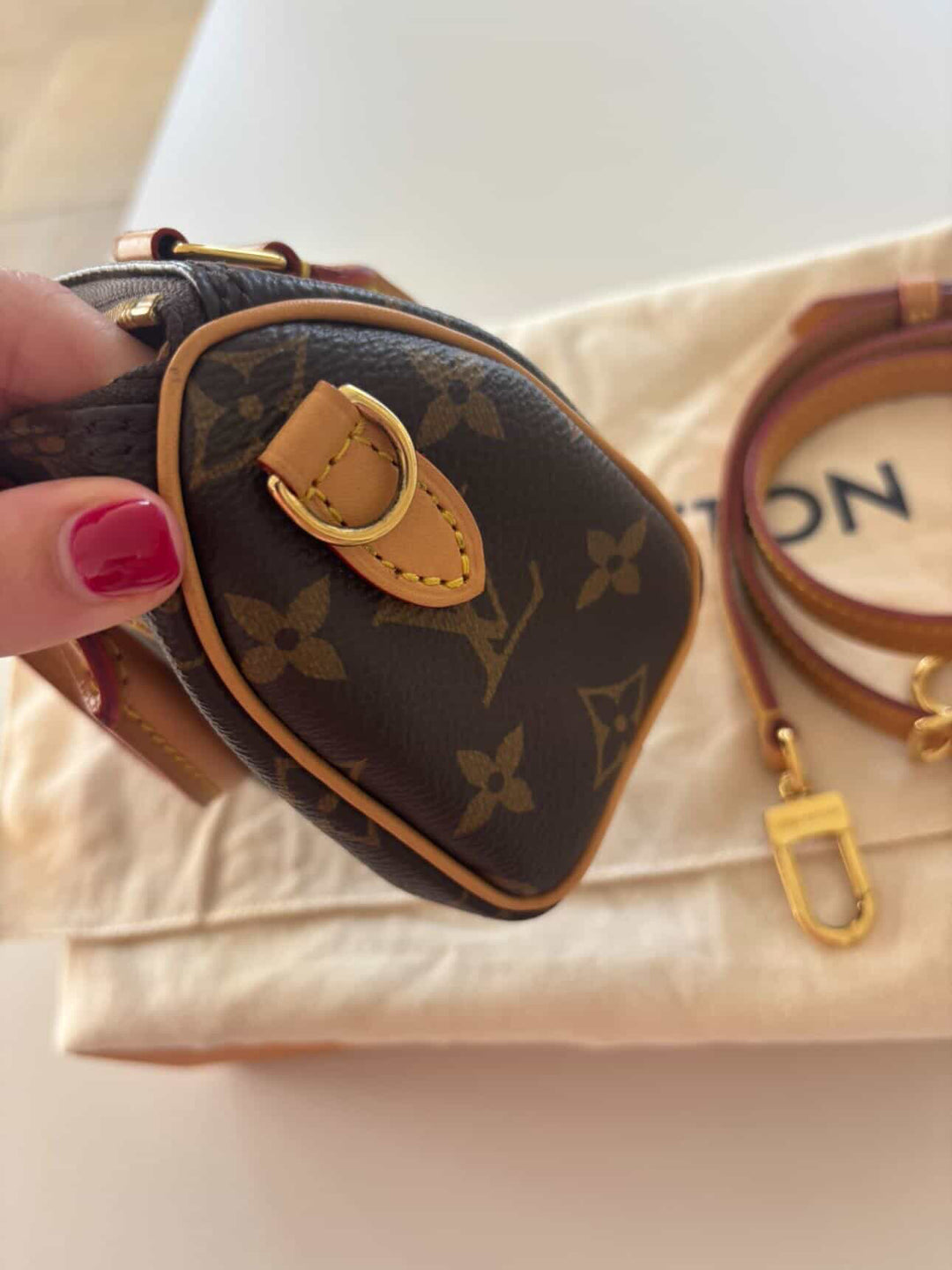 LOUIS VUITTON Nano Speedy Monogram Canvas