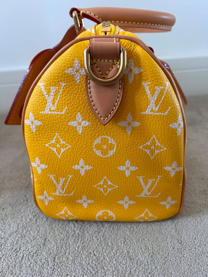 LOUIS VUITTON LV Speedy P9 Bandoulière 25 Bag in Yellow