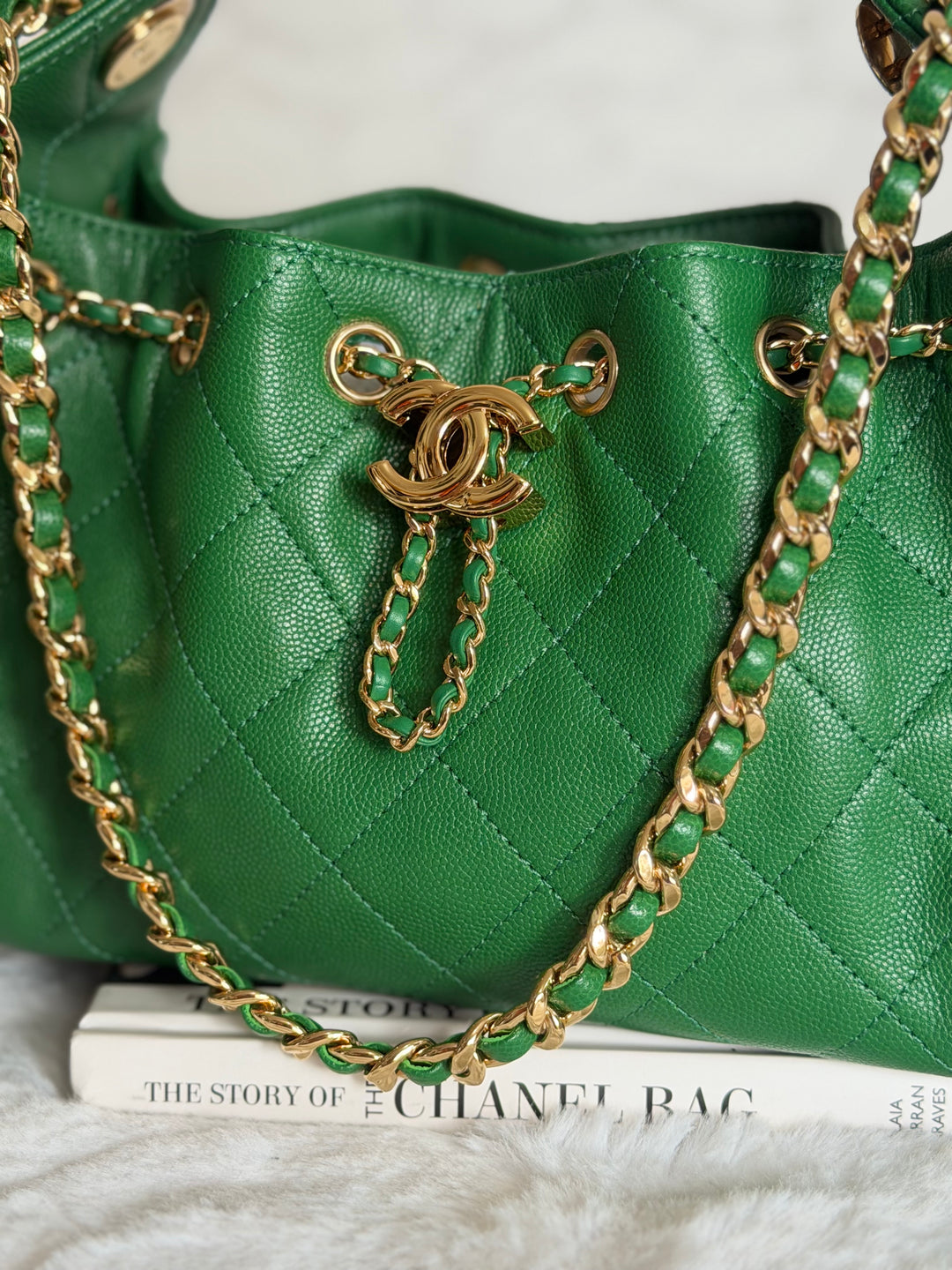 CHANEL Métiers d’art 2026 26A Green Caviar Shiny GHW MINI 25 Hobo Bag