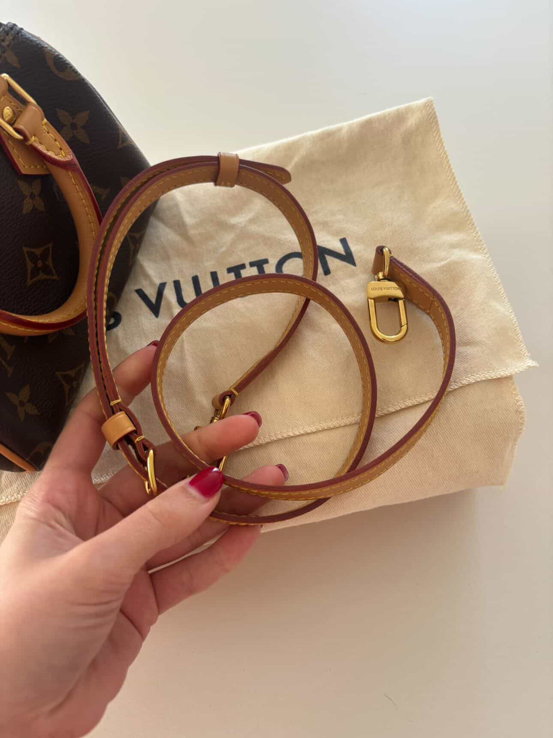LOUIS VUITTON Nano Speedy Monogram Canvas