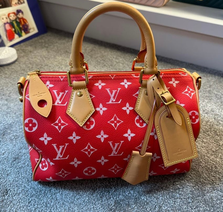Louis Vuitton P9 Speedy Ban 25
