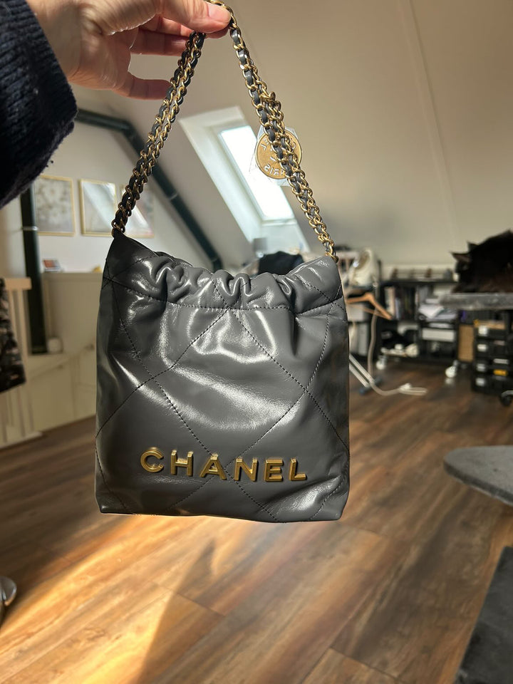 Chanel 22 size Mini in Grey 2022 GHW Hobo bag