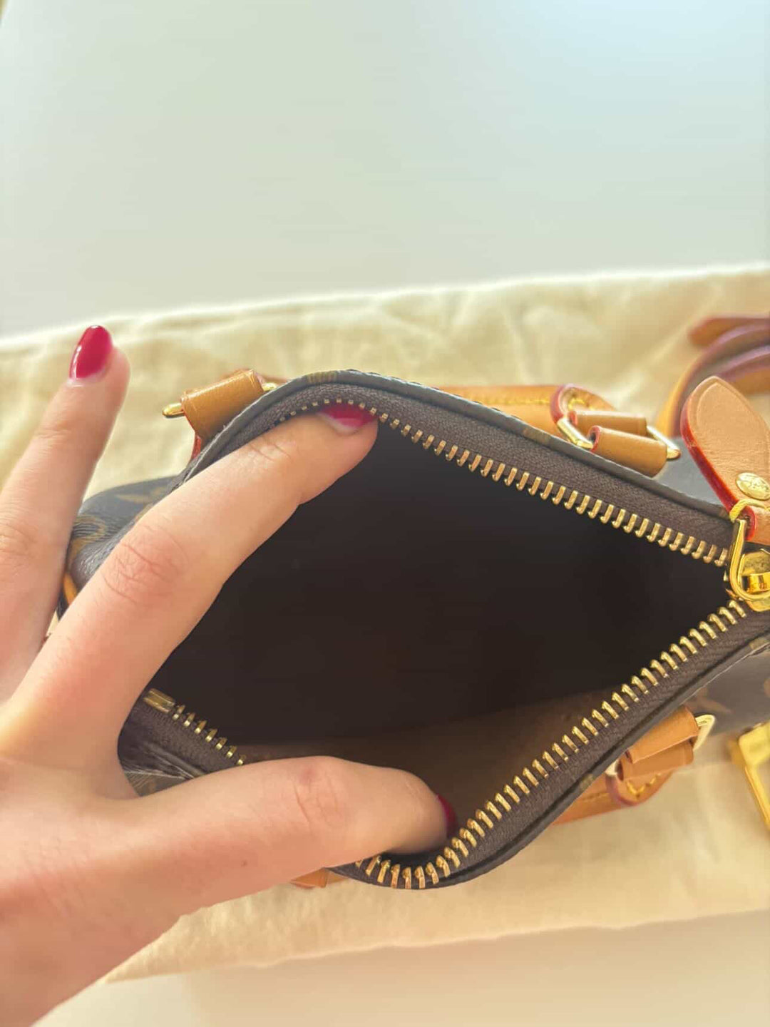 LOUIS VUITTON Nano Speedy Monogram Canvas