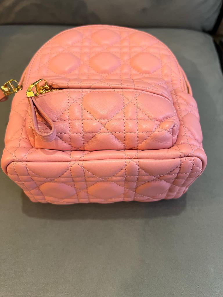 Dior Pink Lambskin GHW Backpack