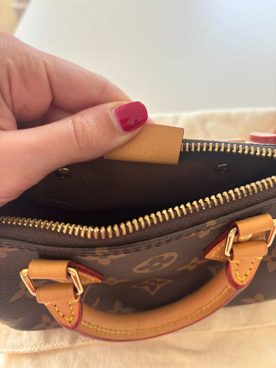 LOUIS VUITTON Nano Speedy Monogram Canvas
