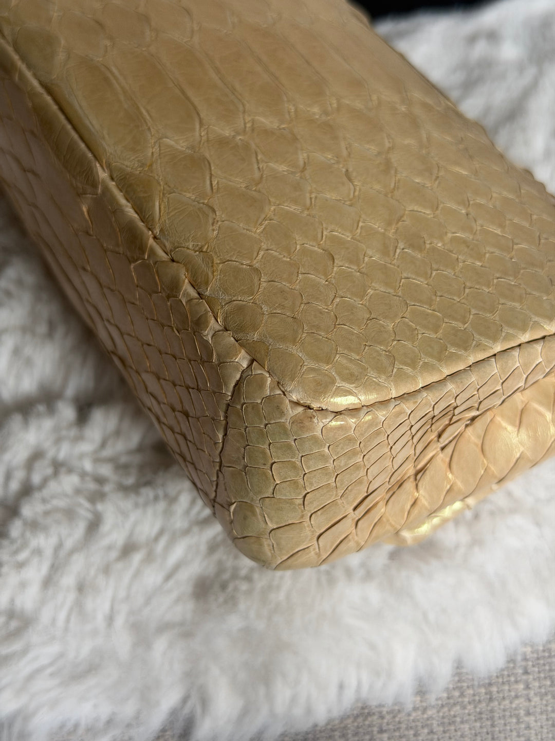 CHANEL series 20 Iridescent Ivory Llizard Exotic skin Extra Mini Rectangular Flap Bag LGHW