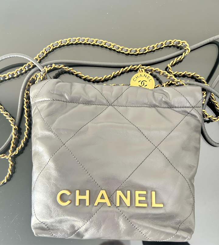 Chanel 22 size Mini in Grey 2022 GHW Hobo bag