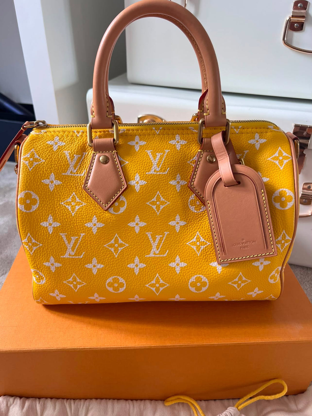 LOUIS VUITTON LV Speedy P9 Bandoulière 25 Bag in Yellow