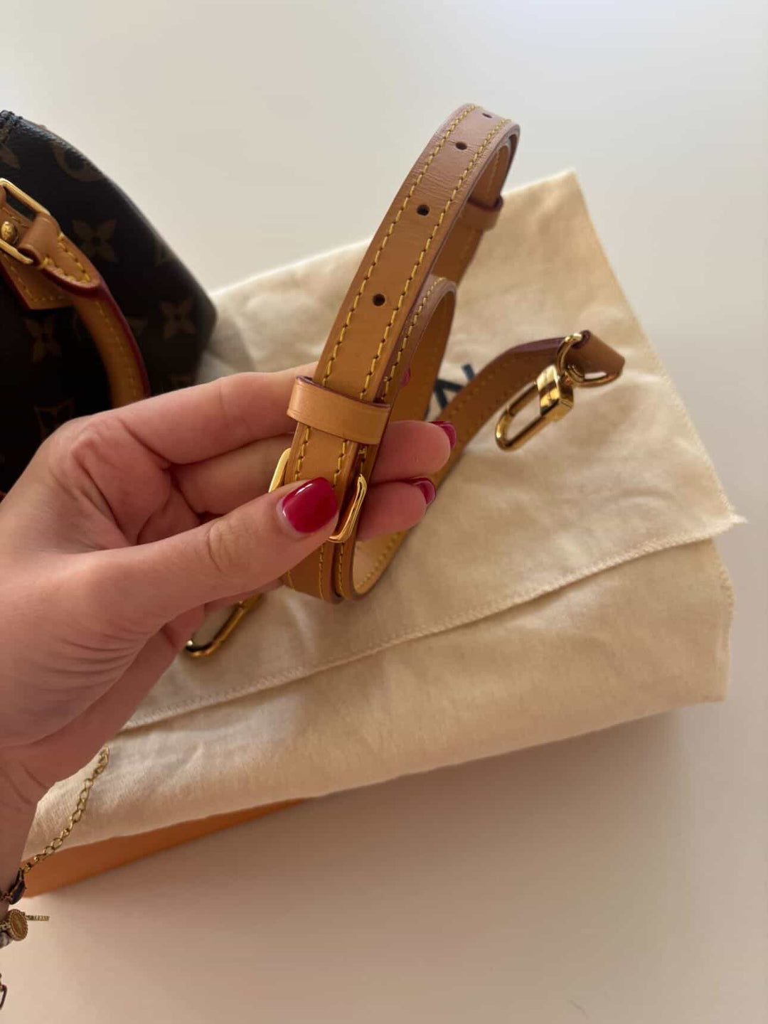 LOUIS VUITTON Nano Speedy Monogram Canvas